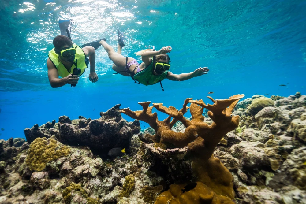 Snorkel actividad acuática para verano