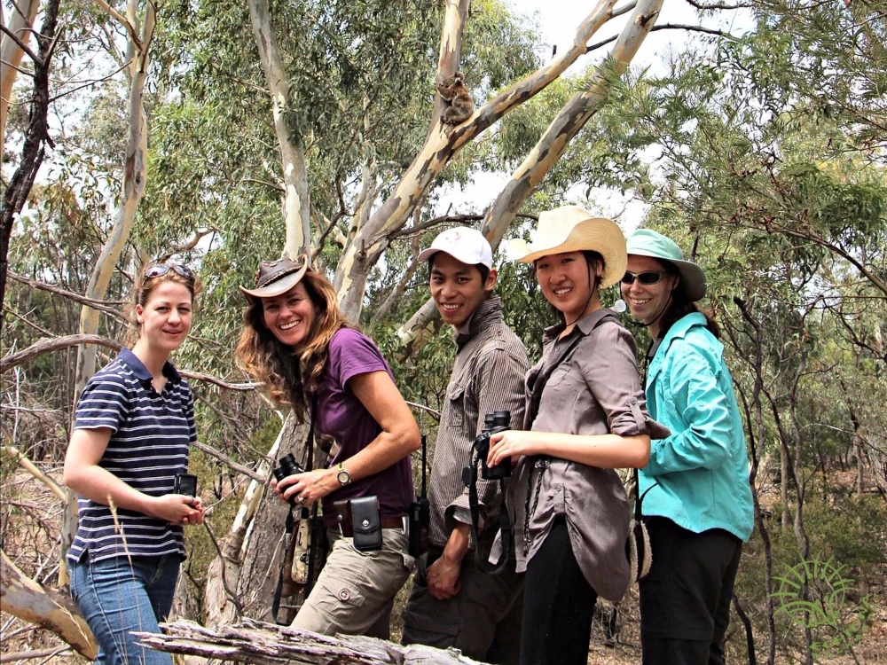 Excursiones en la naturaleza actividad para verano